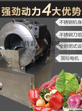 商用全自动电动土豆切丝切片机青瓜切片萝卜刨丝机切蒜片包菜丝