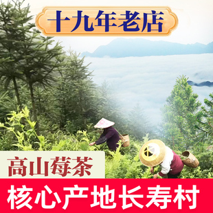 张家界明前芽头莓茶特级芽尖霉茶龙须藤茶野生永顺土家林露旗舰店