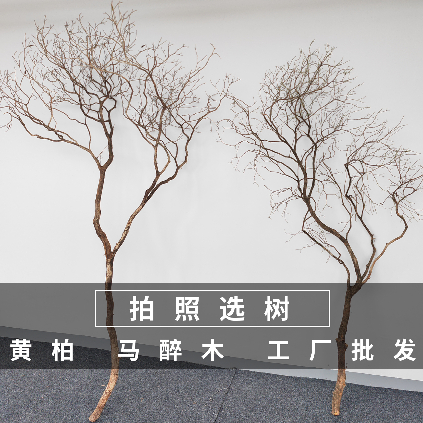 室内花艺景观造型枯树枝树干装饰