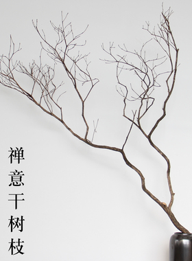 天然马醉木干枝侘寂风花瓶摆件
