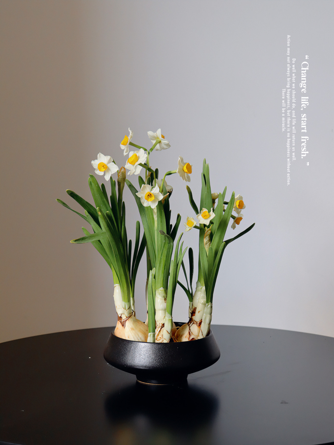 苏太植物 水仙花种球水培植物 水养盆栽 冬季耐寒 龙年年宵花,鲜花速递/花卉仿真/绿植园艺,时令草本花卉,淘宝优惠券,粉丝福利购,淘宝优惠卷