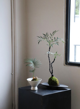 苔藓球植物茶几办公桌