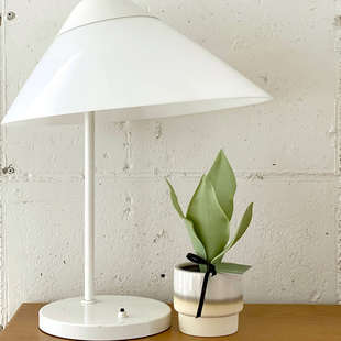 苏太植物 白玉虎皮兰盆栽 高级桌面室内绿植 懒人绿植净化空气