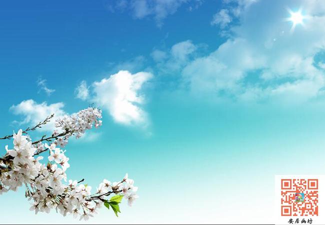 蓝色天空桃花吊顶天花板背景墙书定制壁画