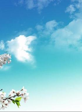 蓝色天空桃花吊顶天花板背景墙书房客厅无纺布墙纸H005壁纸壁画