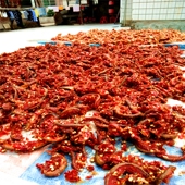 江西乐平特产农家大妈自制柚子皮干超辣开味休闲零食500克超好吃