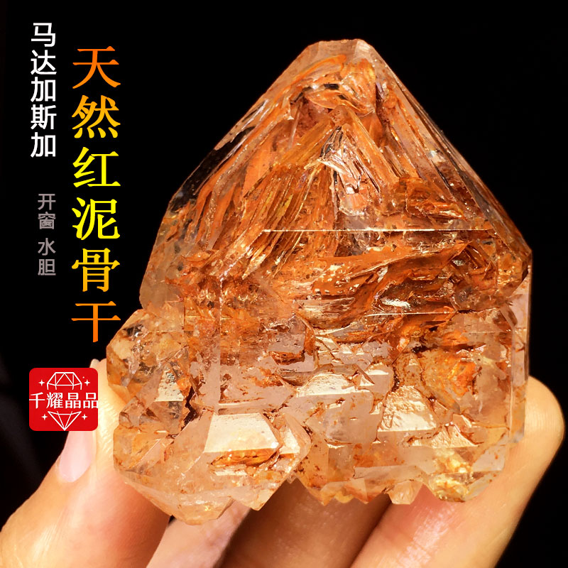 天然红泥骨干骸骨权杖摆件