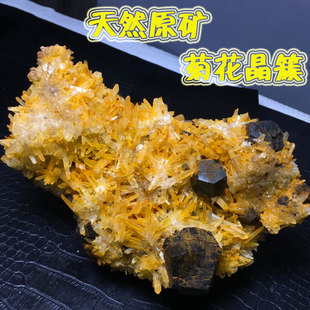 天然黄皮菊花水晶簇橙黄色原矿标本铁矿共生高端展览家居装饰摆件