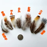 DIY наследники