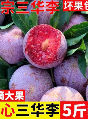 农家自种新鲜孕妇水谷李子