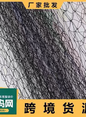 果园防鸟网尼龙网草莓樱桃大棚鱼塘鱼池葡萄防鸟网防护黑色