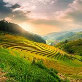 订单异常 特殊要求在此下单