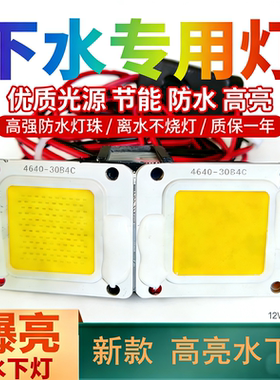 12V抄网下水灯赶海专用强光防水