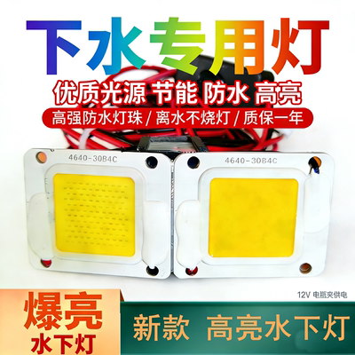 12V抄网下水灯赶海专用强光防水