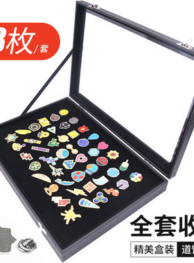 精灵宝可梦道馆徽章火箭队徽章