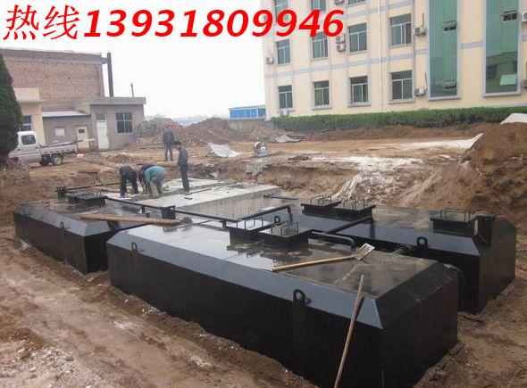 农村MBR一体化污水处理设备 生活污水医院屠宰养殖养猪废水一级A