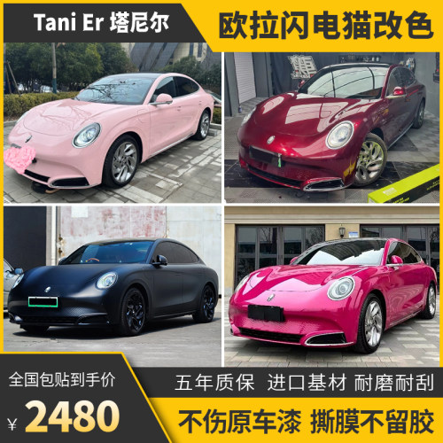 塔尼尔欧拉好猫车身改色膜包施工