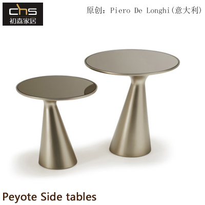 BEMARS/初森北欧风玻璃钢茶几