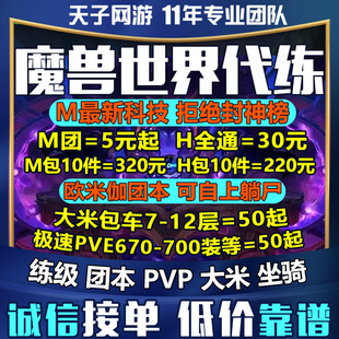 (自助下单) 魔兽世界怀旧服代练代打ICC团本PVP荣誉纪念服黑虫子