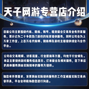 天子网游业务介绍