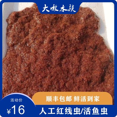 鲜活观赏鱼饲料活体东北中小型鱼