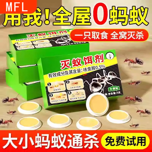 蚂蚁药家用全窝室内非无毒端一锅专用杀白蚁灭蚁饵剂旗舰店杀虫剂