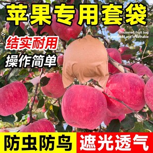 苹果专用套袋防虫防鸟膜袋内红袋防菌内白苹果袋子水果套袋育果袋