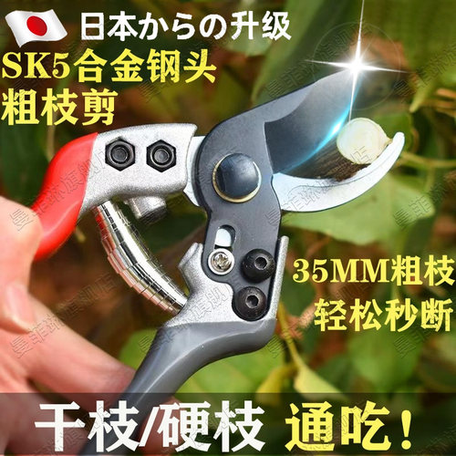 修枝剪刀粗枝省力SK5钢刃园艺剪