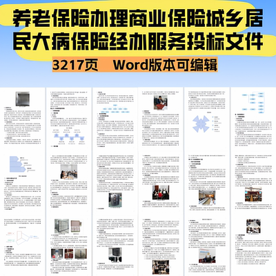 养老保险办理商业保险城乡居民大病保险经办服务投标文件