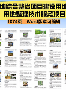 土地综合整治项目建设用地农 用地整理技术服务项目