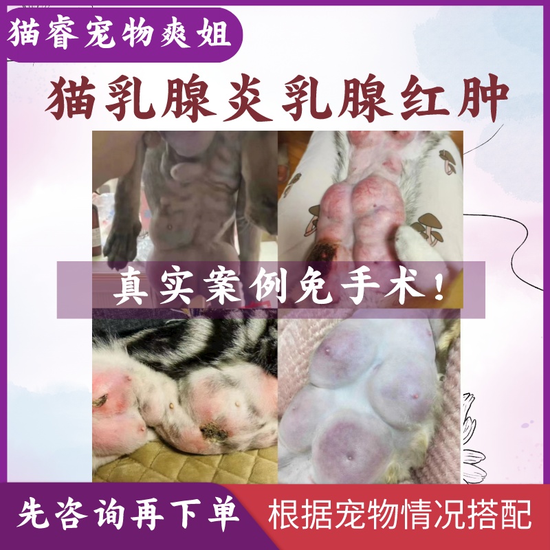 猫睿爽姐自制猫乳腺炎宠物乳腺增生乳腺红肿