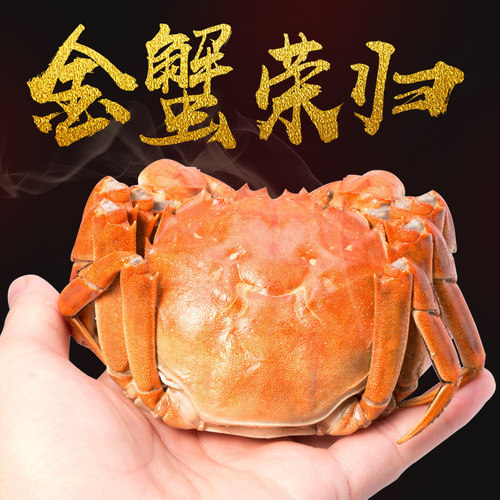 【金蟹荣归】蟹游记精选特大鲜活大闸蟹北京闪送10只装公母任选