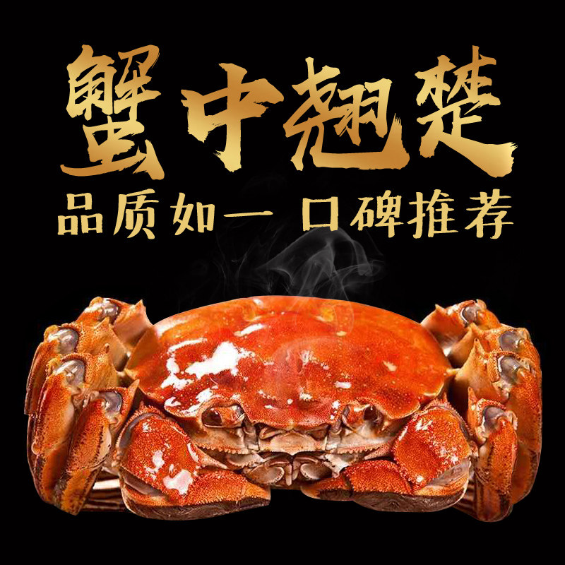 鲜活10只礼盒装大闸蟹北京闪送