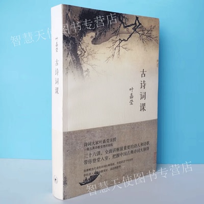 正版现货 古诗词课 叶嘉莹先生全面讲解中国古诗词涵盖中国重要的诗人和诗歌带读者走进古典诗歌美好高洁的世界图书文学中国古诗词