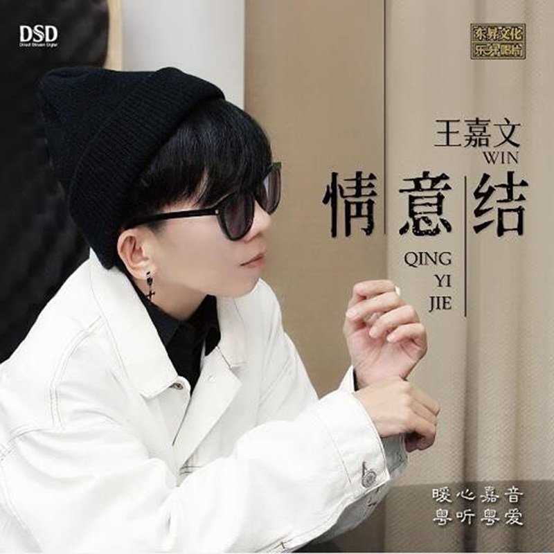 正版唱片 王嘉文 情意结 粤语流行音乐CD专辑 DSD 无损汽车载光盘