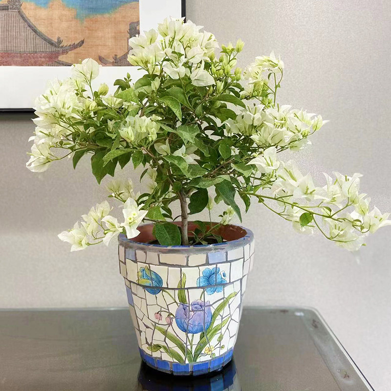 玫瑰小镇 室内新中式陶瓷花盆 阳台飘窗桌面盆栽装饰 配色纯正
