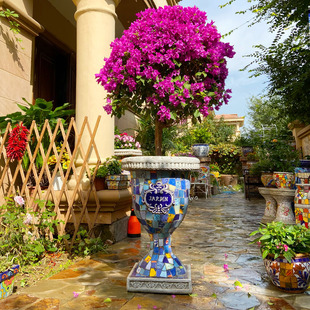 户外庭院墨西哥风格 别墅门口花园摆件 高档家具创意摆设落地花盆