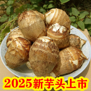 江西芋头新鲜小芋头农家种植蔬菜现挖芋艿芋仔芋子软糯丝滑非香芋