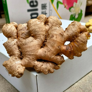 江西小黄姜新鲜生姜老姜农家现挖现发食用辛辣姜月子姜去腥味炒菜