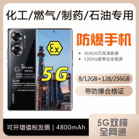 华I为21KE 荣耀Play5T防爆智能手机化工play8T5G加油站CT4然气NFC