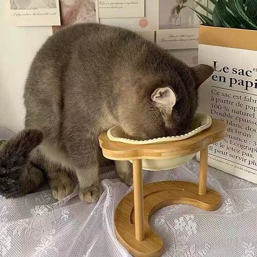 猫咪狗狗碗保护颈椎美观实木耐用