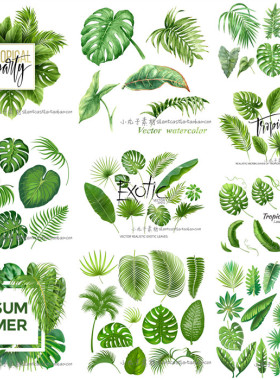 A0057矢量AI设计素材 水彩热带植物绿色树叶棕榈芭蕉龟背竹插画