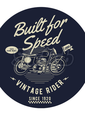 摩托系列巡航车TRCM300中排复古机车电车反光镭射车贴#204020