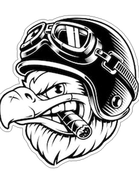 机车american-eagle cigar 白头鹰飞行头盔复古磁性镭射反光车贴