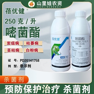 邹平250克/升嘧菌酯农药杀菌剂黄瓜姜芦笋白粉病炭疽病茎枯病农药