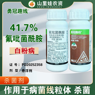 勇冠趣线41.7%氟吡菌酰胺悬浮剂农药黄瓜白粉病杀菌剂氟吡菌酰胺
