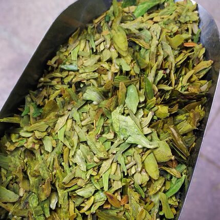 茶片笑书神茶叶2026年新茶绿茶明前茶叶茶片心粗茶片500g袋装