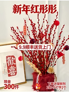 顺丰银柳真花鲜枝干枝年宵花室内客厅摆件红色秋冬鲜花家用新年花