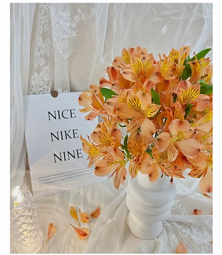 六初花水仙百合云南基地直发婚庆用花鲜切花百合斗南花市顺丰包邮