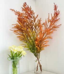 云南基地直发千层金黄金香柳花束水培植物鲜切花绿植 百合花